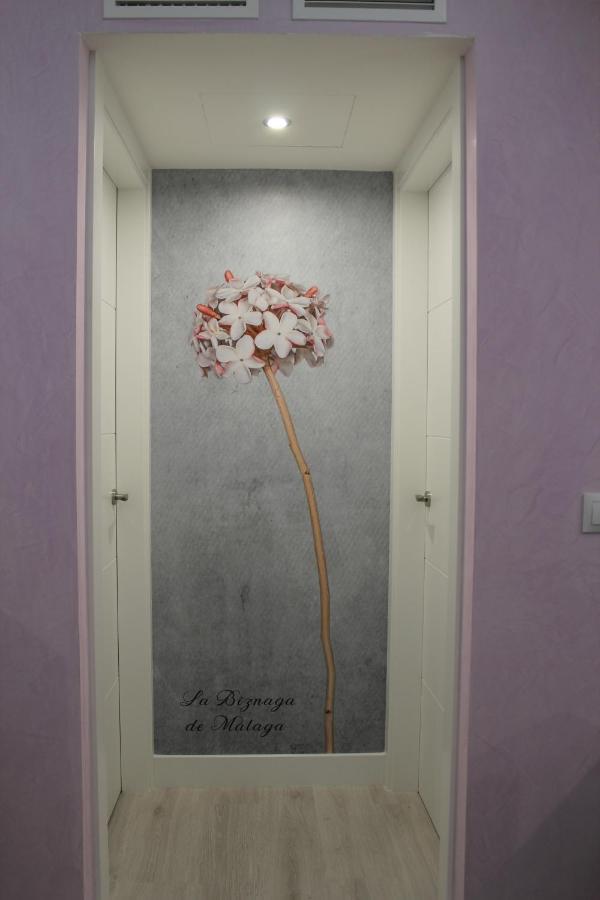 Atico Chill Out La Biznaga Apartment Malaga Bagian luar foto